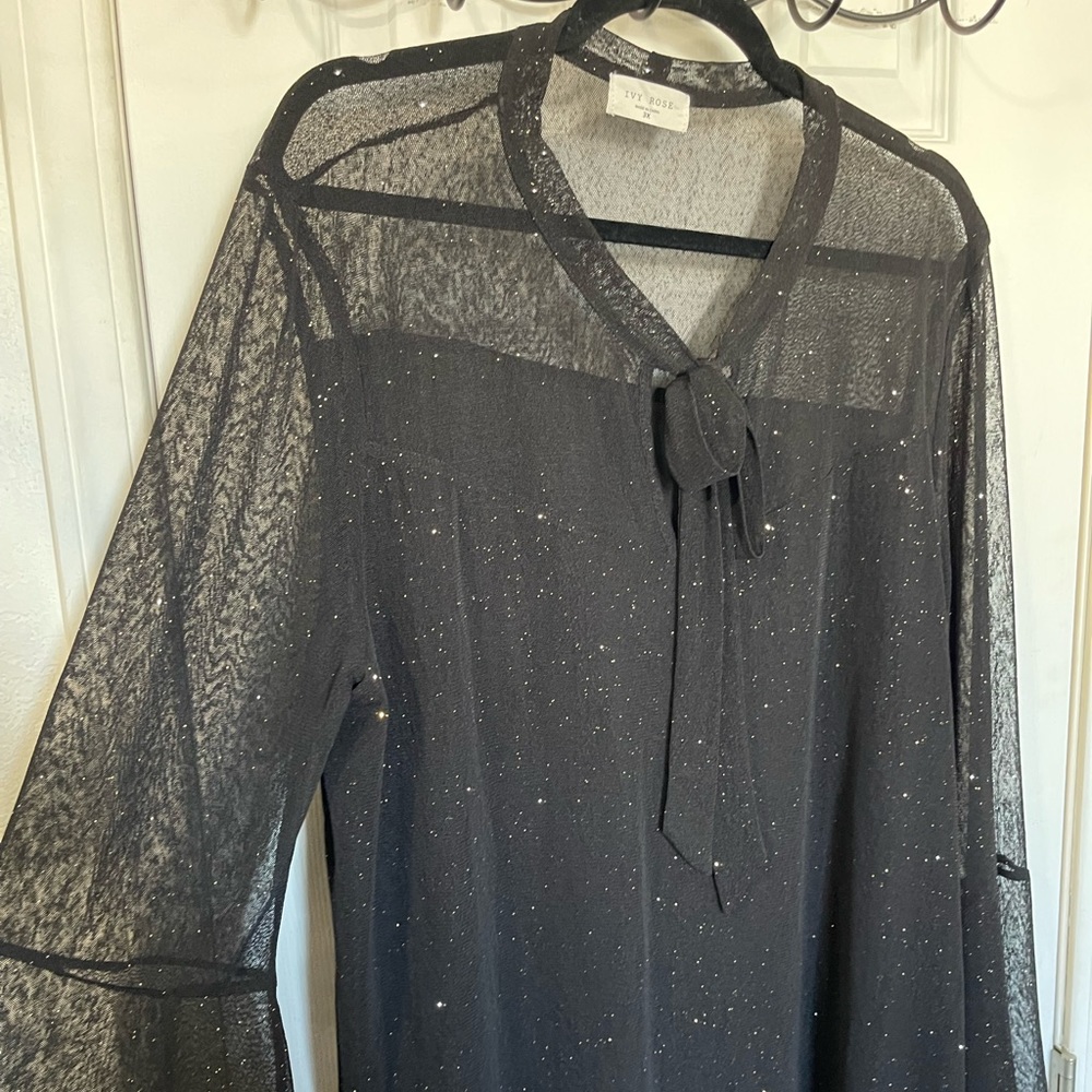 Sheer with Glitter Top